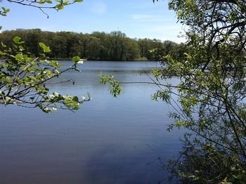 Cleveley Mere Luxury Waterside Lodges Scorton  Luaran gambar